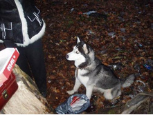 ������.. :))