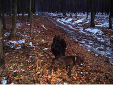 �������� :)