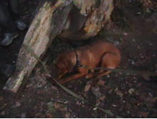 *���������� :)