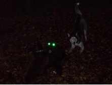 "����� ������" :))