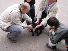 "������ ����" :))