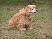 ��� ����� :)