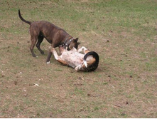 ��������.. :))