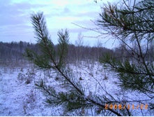 ������ �������