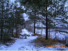 � �����������