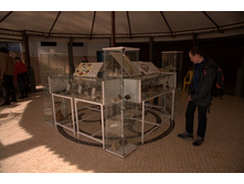 ��������� ��������� 