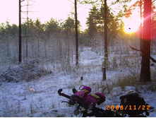 �������� �������!