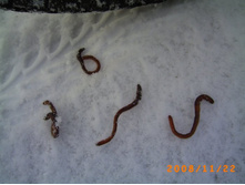 ����� ������