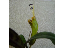 ������ ����������� ����������