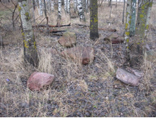 ����� ����������������