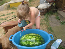 ����.����.