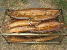 ���� �������� �� ����.