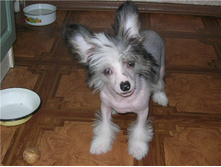 ��� 4 ���))