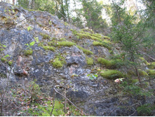 IMG_4126 - �����.JPG