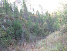 IMG_4150 - �����.JPG