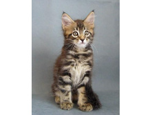 12.08.2010 ������ 8 ������