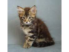 12.08.2010 ������ 8 ������