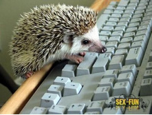 ������ ������� ��������