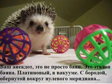 3-� ������!! 4-� ������!!!