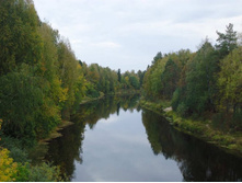 �������� � ������ �����