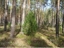 �������� ������������