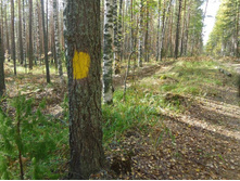 �������� ������