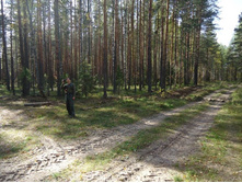 ��� ����� ������