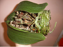 ����� 042.jpg