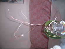 ����� 003.jpg