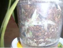 ����� 032.jpg