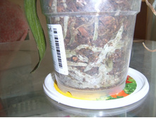 ����� 034.jpg