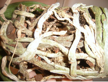 ����� 037.jpg