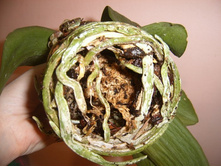 ����� 041.jpg