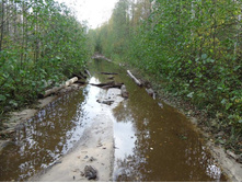 ����� �� ����� ��������� ����