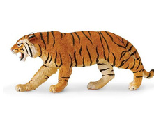 ����������� ���� 270829.jpg