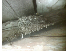 ���������� ������