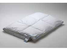 ��� ������