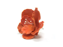 �����.�����.������ ������� ��������,���� �� 1 ��.-92 ���.+���.%