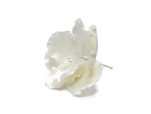 �����.�����.������ ����� ��������,���� �� 1 ��.-74 ���.+���.%