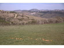 ���� �����, � ����...