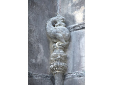 ���� �� �������� �� ������ ���������� ������