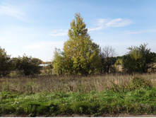 DSC00507.JPG