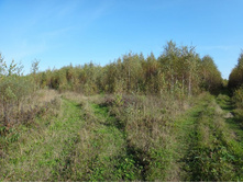 DSC00546.JPG
