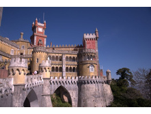 ������ ����