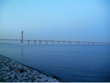 ���� ����� �� ����