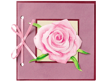  �� 23-804    (48 ���)