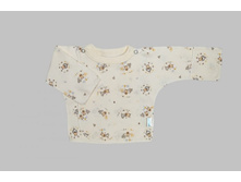 ���������� (��������