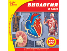 ��������, 8 ��. 2-� ���., ������. � ���.- 113 ���