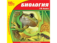 ��������, 10 ��.  - 113 ���