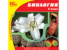 ��������, 6 ��., 2-� ���., �������. � ������.-113 ���